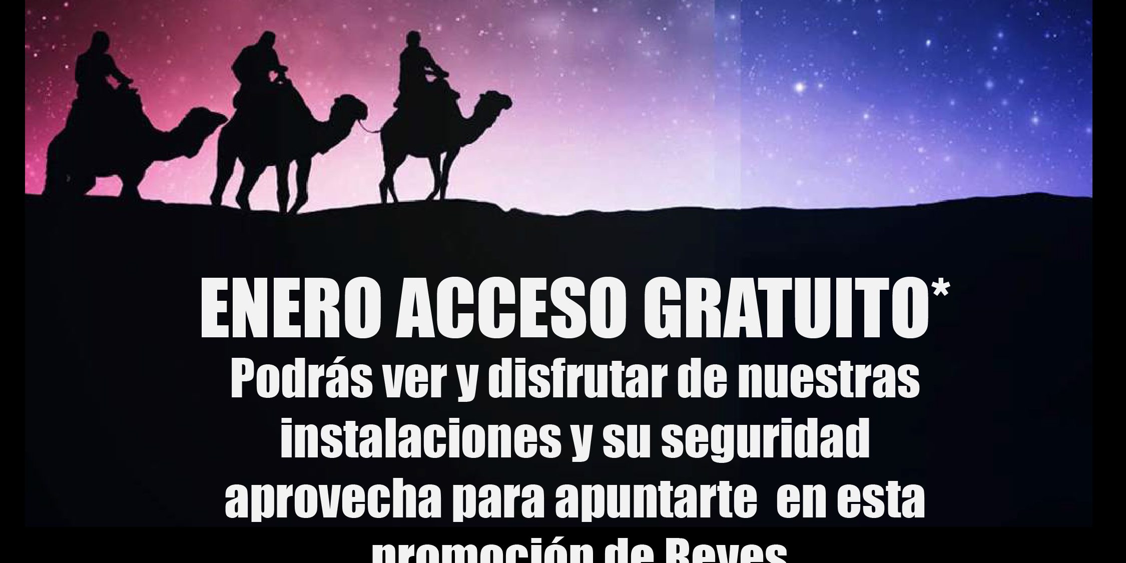 Promo Reyes_Mesa de trabajo 1